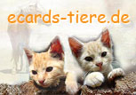 Hundepflege, Hundesalons, Groomer