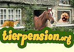 Hundepflege, Hundesalons, Groomer
