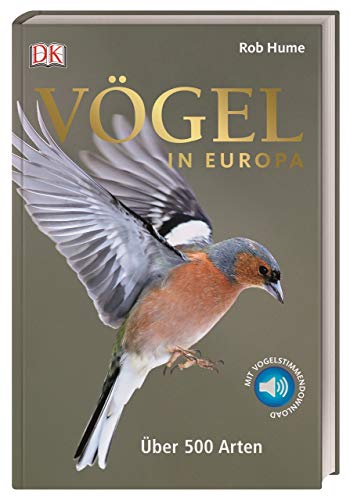 Vögel in Europa: Über 500 Arten