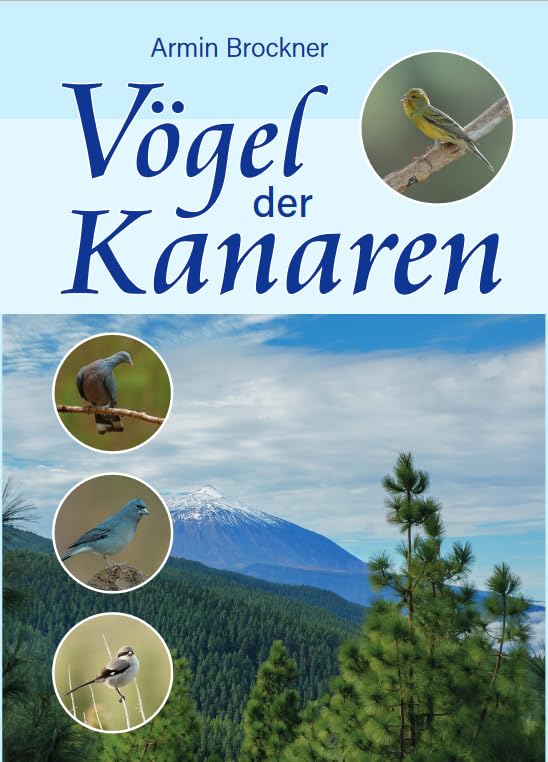 Vögel der Kanaren