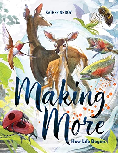 Making More: How Life Begins (English Edition)