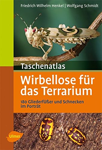 Taschenatlas Wirbellose für das Terrarium: 180 Gliederfüßer und Schnecken im Porträt (Taschenatlanten)